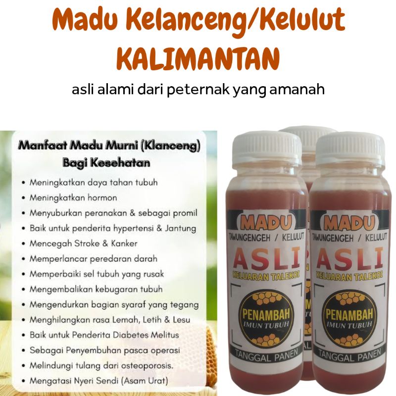 

Madu Kelulut/Kelanceng Super Madu Lanceng Madu Asli Untuk Imunitas dan Kesehatan Tubuh