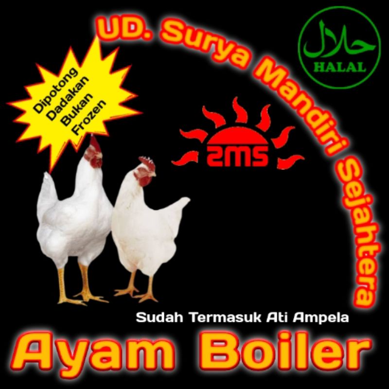 

Ayam Boiler Segar Bukan Frozen