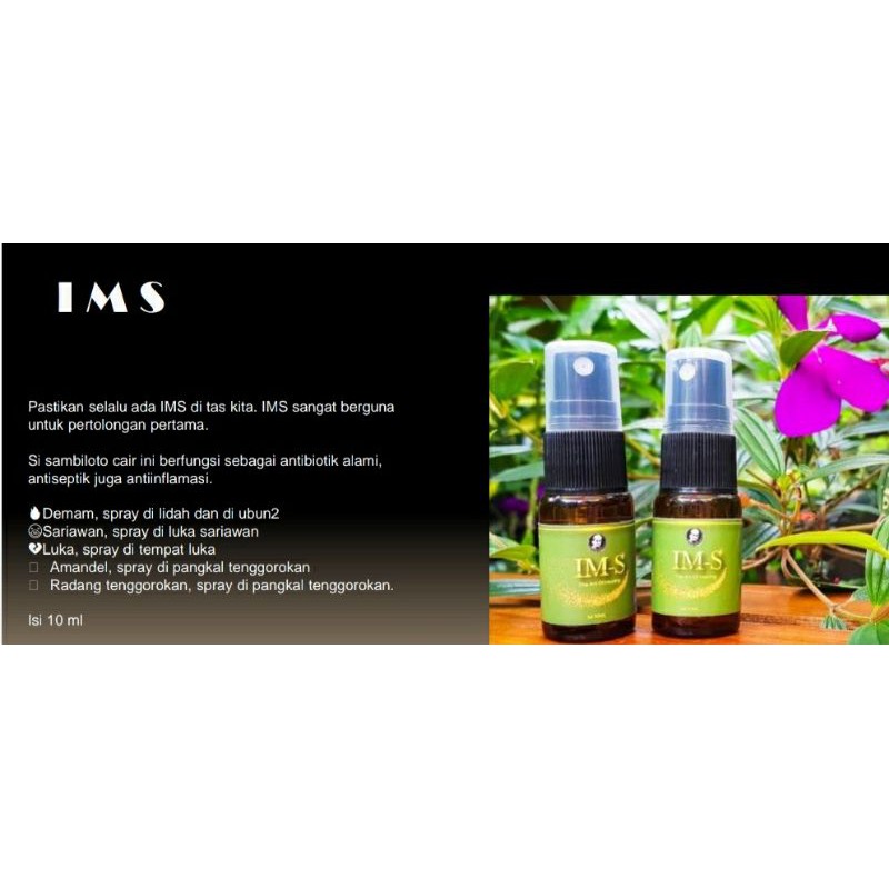 Herba Untuk Demam, Sakit Kepala, Tonsilitas, Amandel, IMS Herba Pak Haji