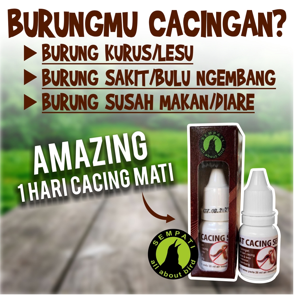 Obat Cacing Mengobati Burung Sakit Cacing Kurus Lesu Untuk Murai Kacer Lovebird Dll Sempati Mart Shopee Indonesia