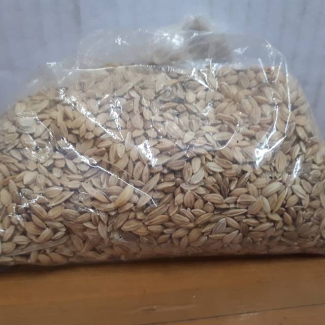 

Gabah lampung gabah kering 100 gram