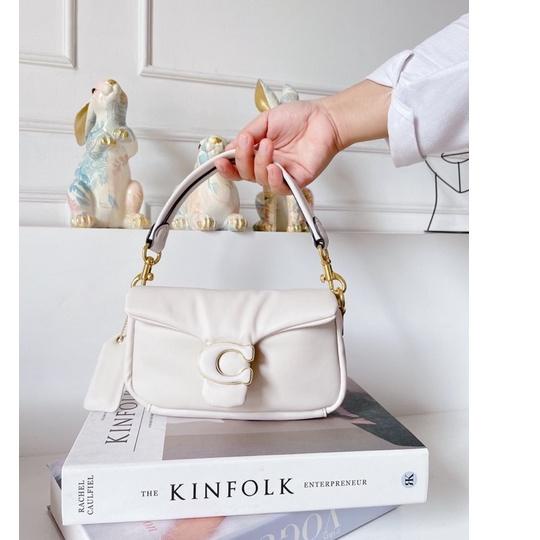 (TERLARIS) C Tabby Pillow