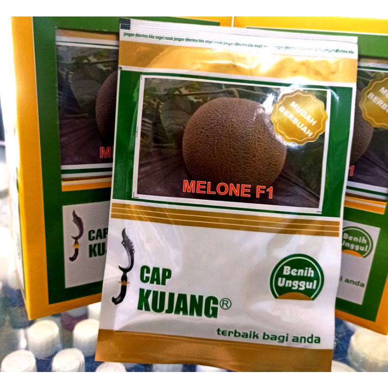 BENIH MELONE DARI KUJANG BENIH MELON TAHAN VIRUS
