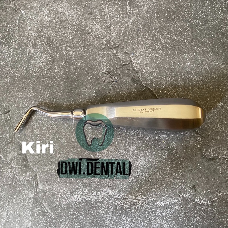 Dental bein schezher beldent root elevator luxator marwa
