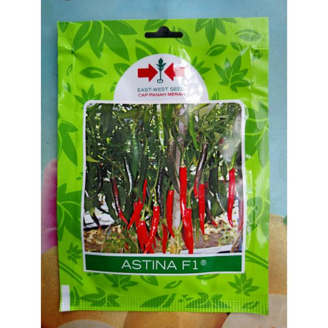 Benih Biji Cabe Merah Besar ASTINA F1 125bj