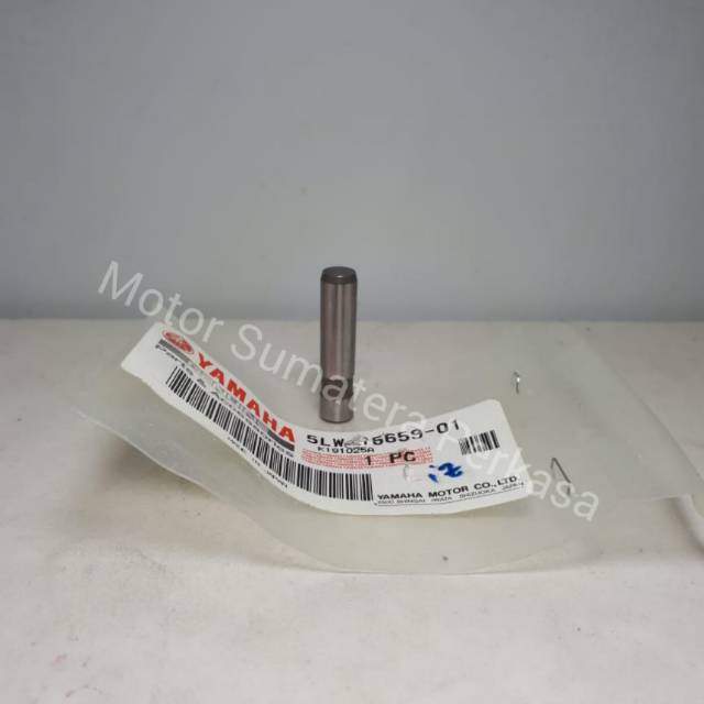 As Gigi Engkol ( MIO )