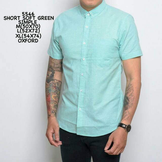 Kemeja Ala Korea Polos Hijau Muda Distro Executive Pria Macho