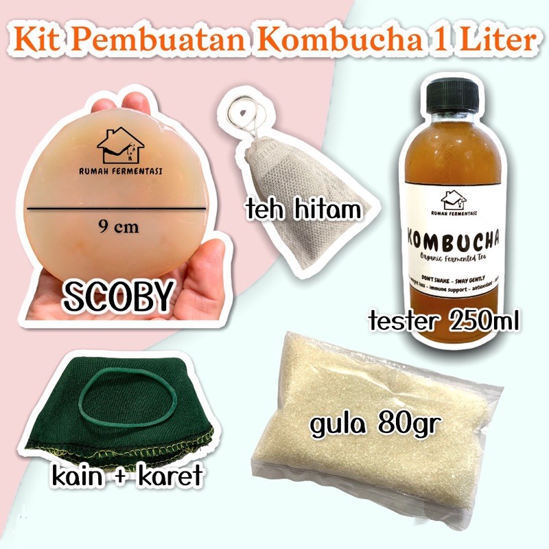 

PAKET KIT KOMBUCHA SIAP BIKIN 1 LITER