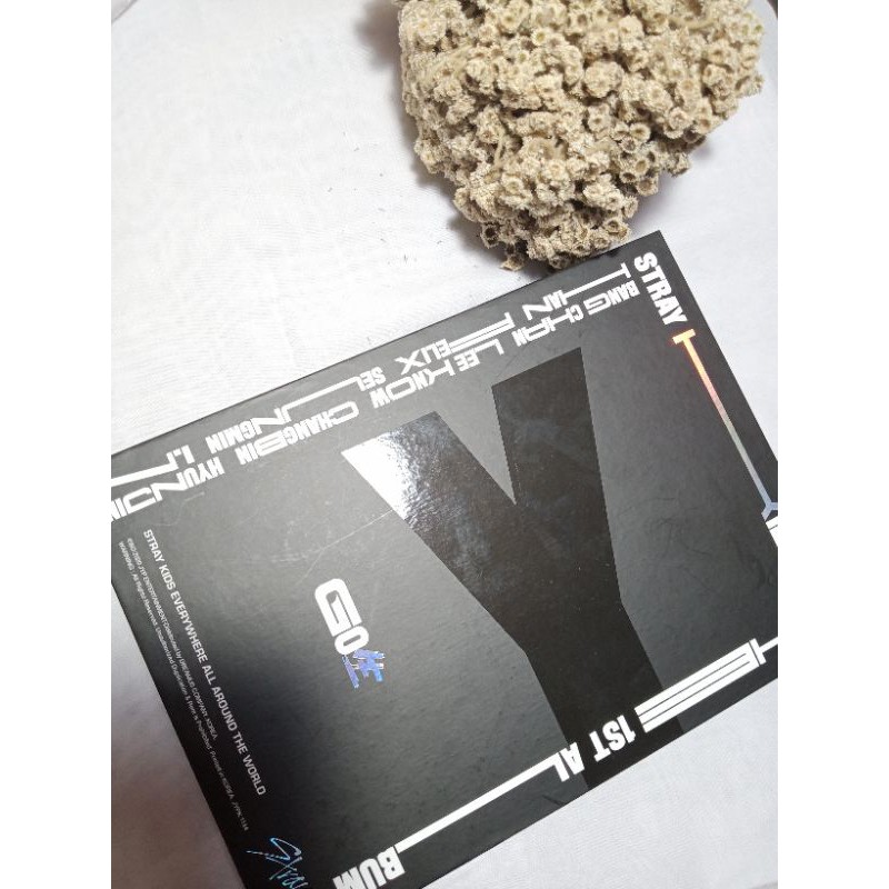 ALBUM STRAY KIDS GO LIVE LIMITED EDITION MINUS PC & POLAROID