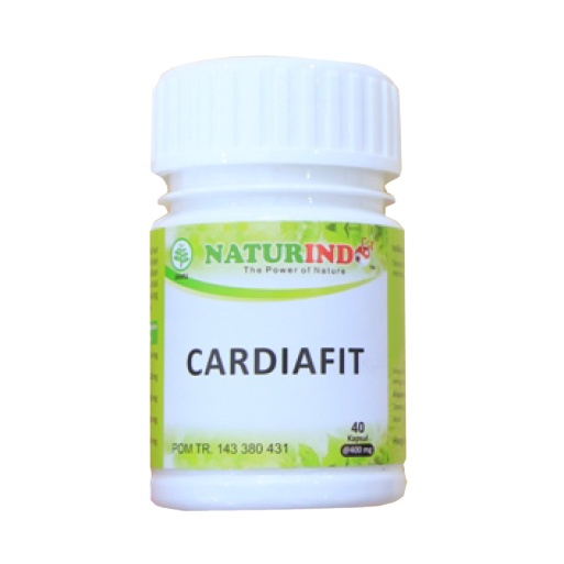 Obat Jantung Berdebar Kencang dan Badan Lemas, Lemah, Bengkak - Harga di Apotik Tablet Tradisional B