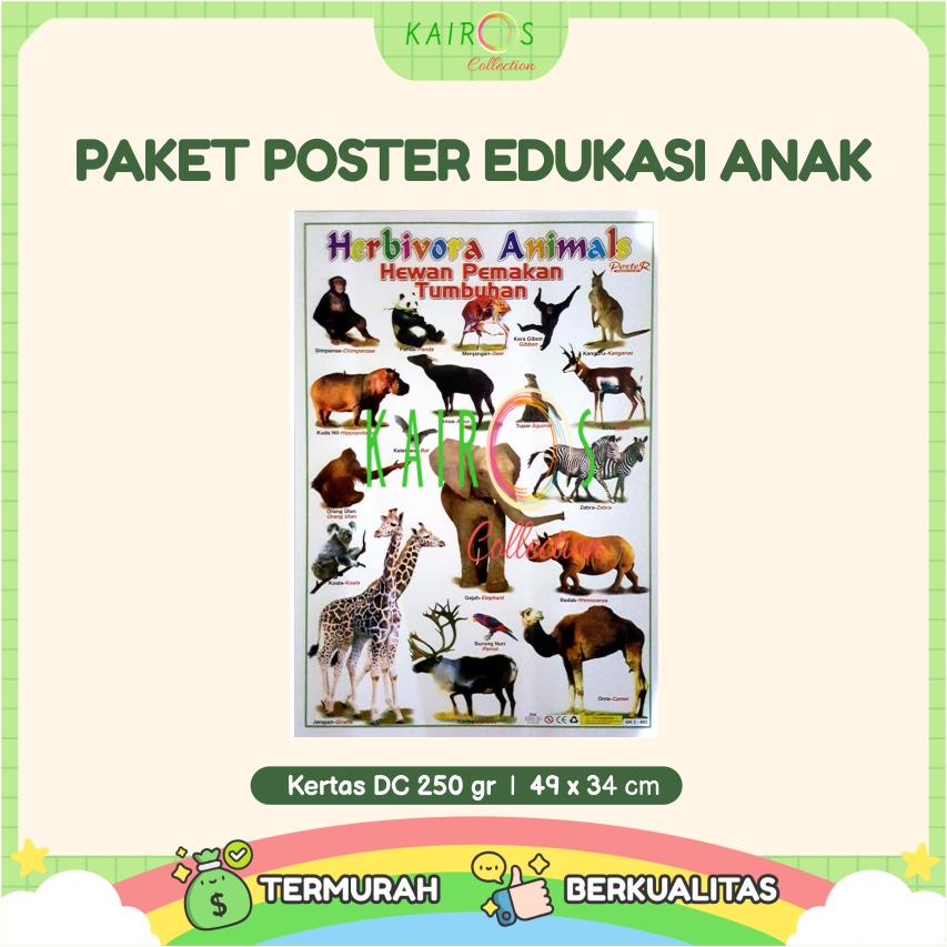 Paket 10 Pcs Poster Anak Edukasi Belajar Huruf Abjad, Buah, Angka, Hewan Binatang, Sayur, Kendaraan Transportasi