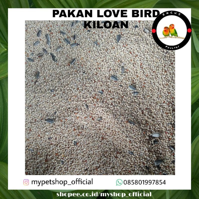 PAKAN LOVEBIRD KILOAN 500GRAM