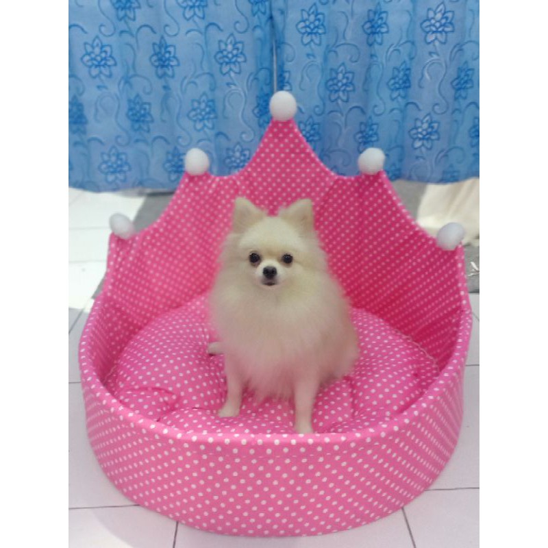 Tempat tidur anjing/kucing lucu