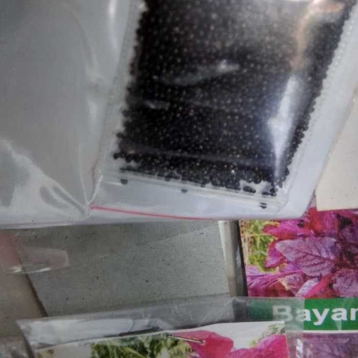 Biji bayam merah bibit bayam merah