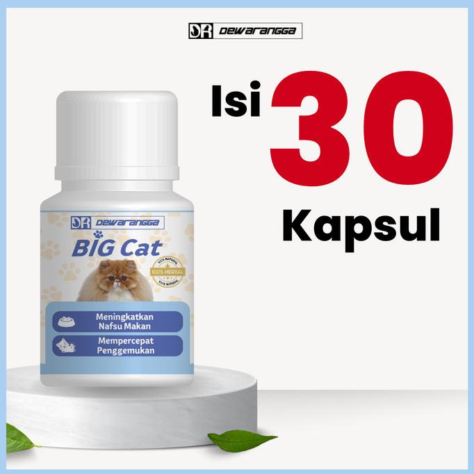 BIG SALE BIG CAT - VITAMIN NAFSU MAKAN & GEMUKIN - DEWARANGGA STOK TERBATAS