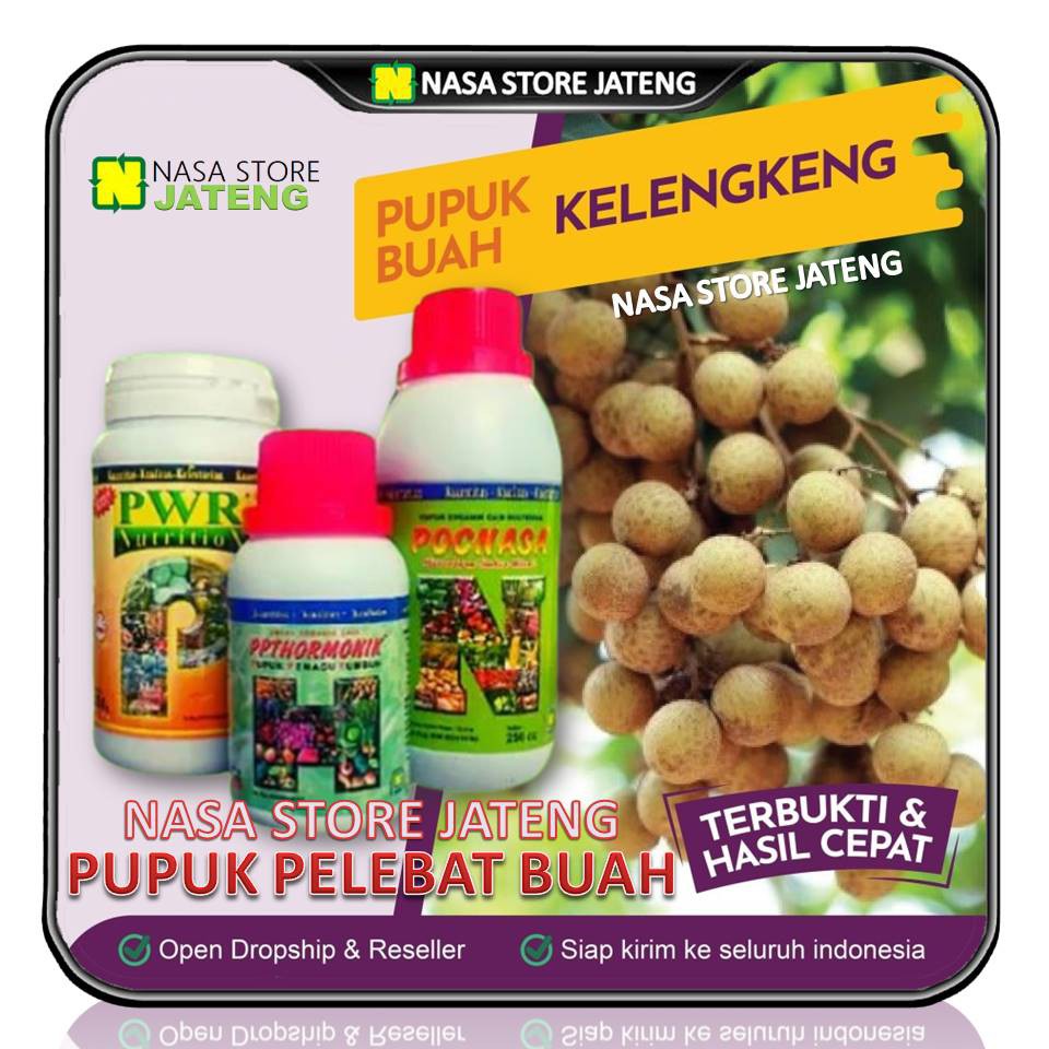 Paket Pupuk Kelengkeng Perangsang dan pelebat buah Tabulampot / Booster Buah NASA