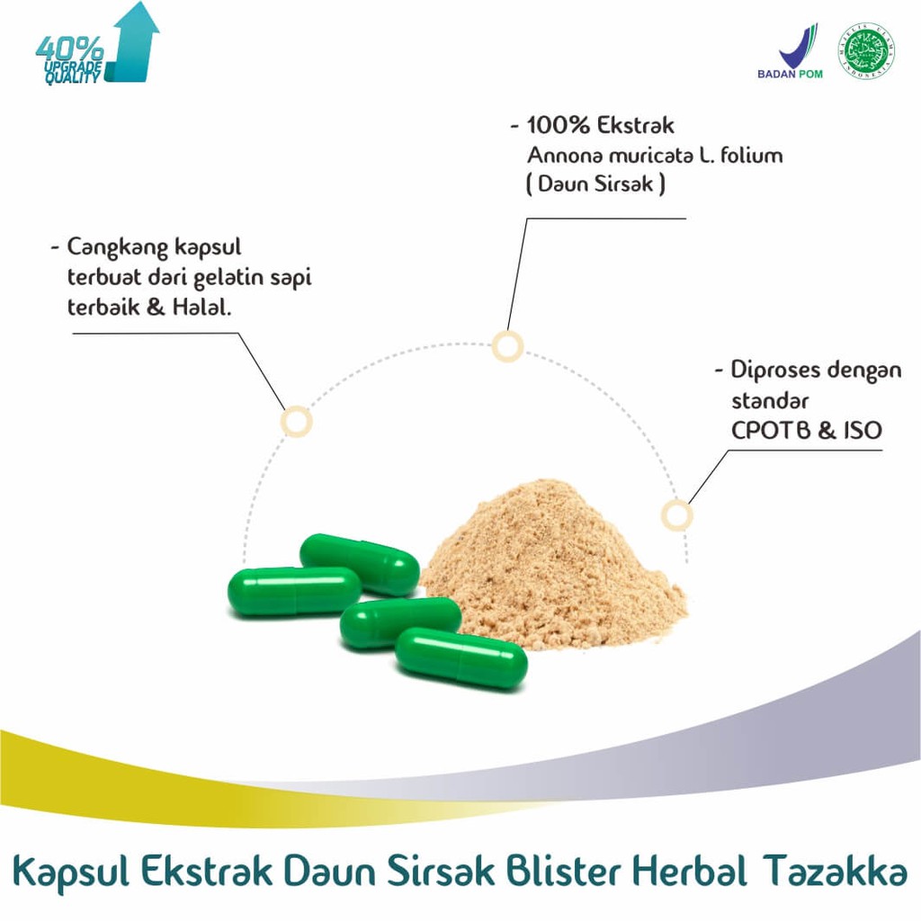 Obat Kanker Tumor Darah Tinggi Ekstrak Daun Sirsak Herbal Tazakka Original 20 Kapsul Blister.