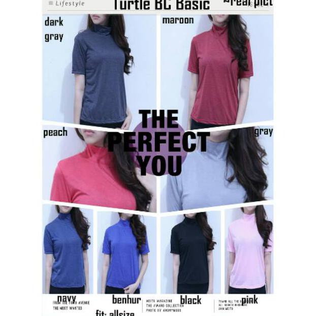 AFI - AL - Turtle BC Basic (REAL PICT)