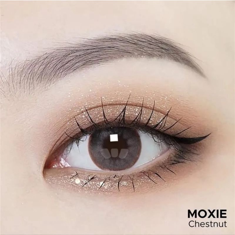Softlens X2 Moxie Chestnut