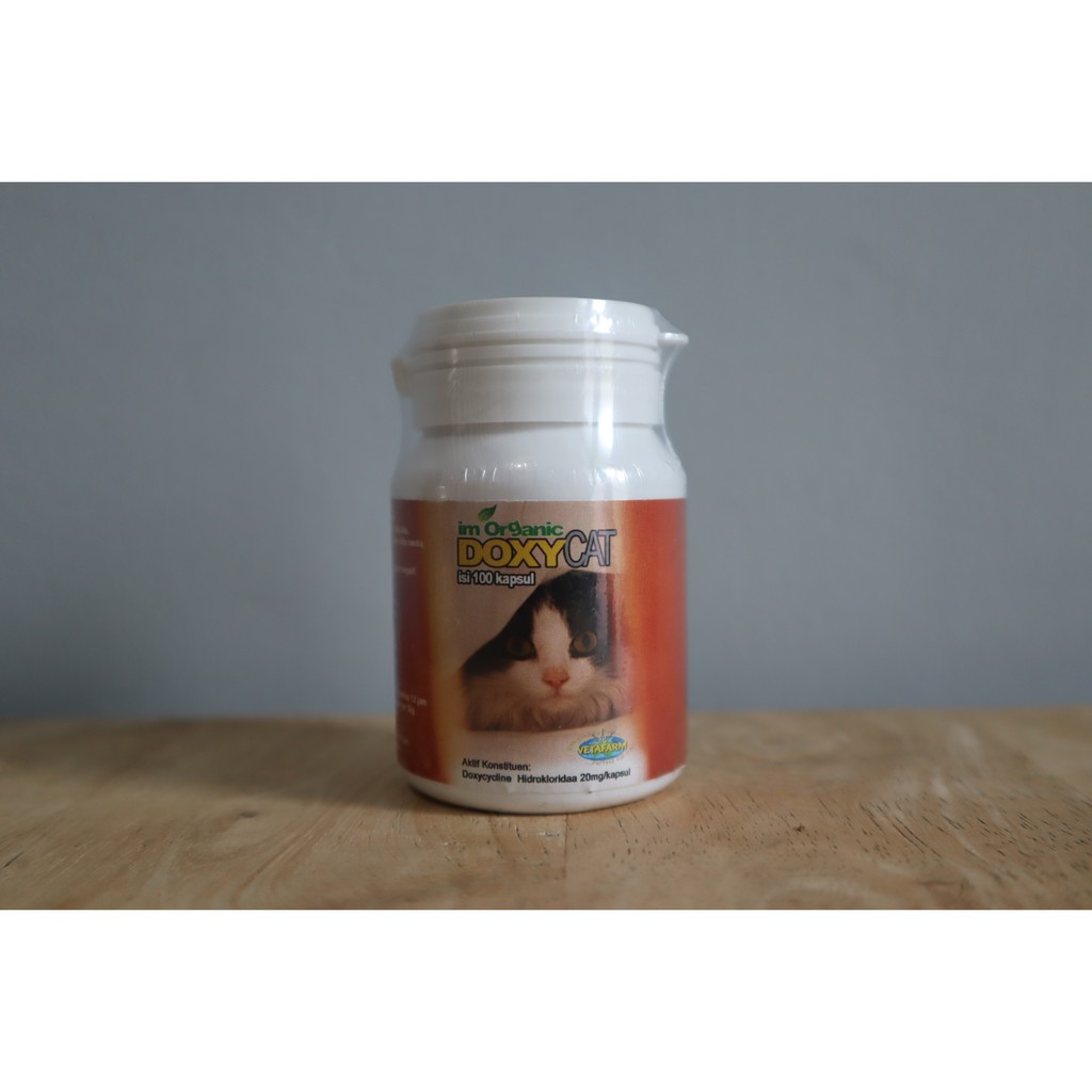 Doxy Cat Im Organic Obat Flu Kucing
