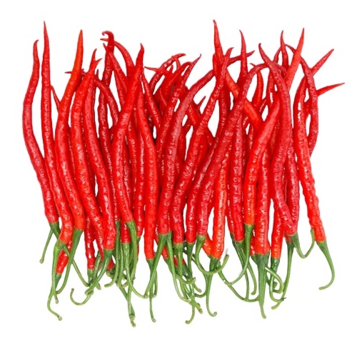 

[ Per 250 gram ] ~ Sayuran Cabai / cabe merah keriting
