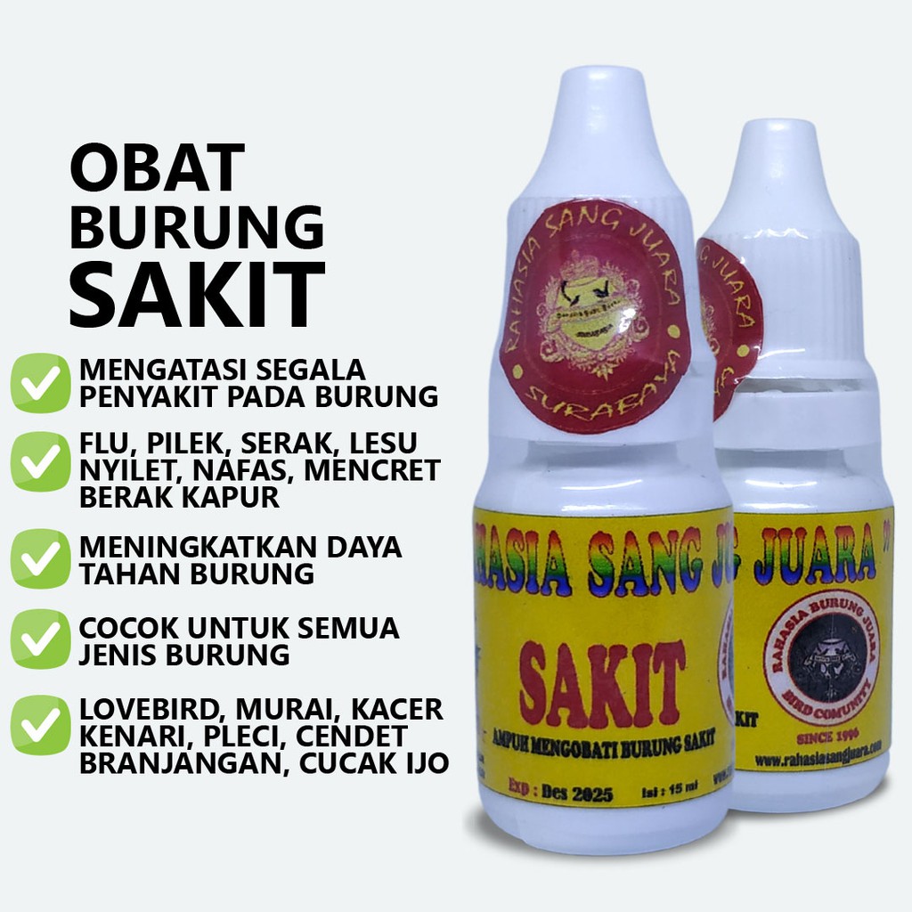 OBAT BURUNG SAKIT | MENYEMBUHKAN BURUNG SAKIT FLU PILEK SERAK NYILET NAFAS LESU BERAK KAPUR PUTIH