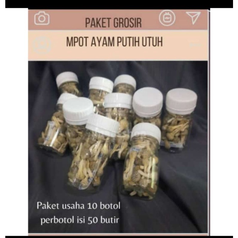 

Paket empot2 putih/Obat herbal miss v/Herbal keromantisan rumah tangga