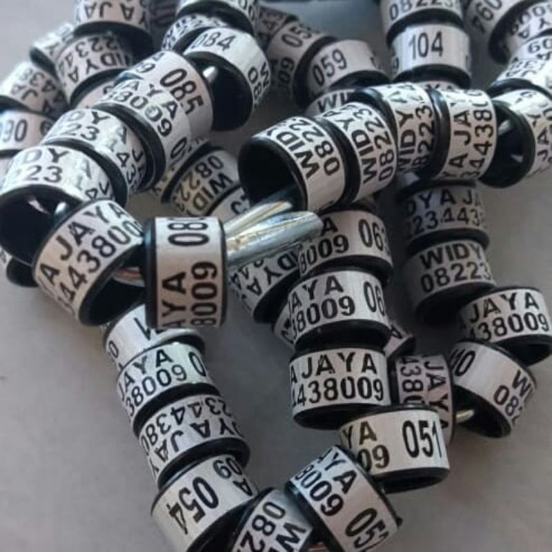 RING BURUNG LASER WINNER BUAT BURUNG MERPATI MURAI BATU PERKUTUT LOVE BIRD