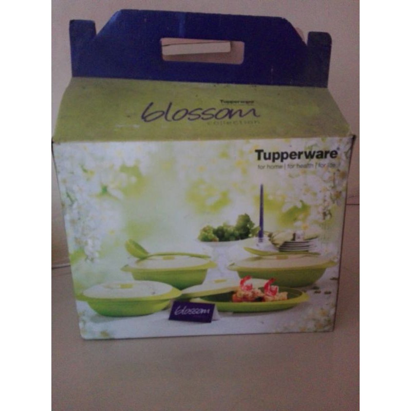 Tupperware Blossom Colletion Hijau Set