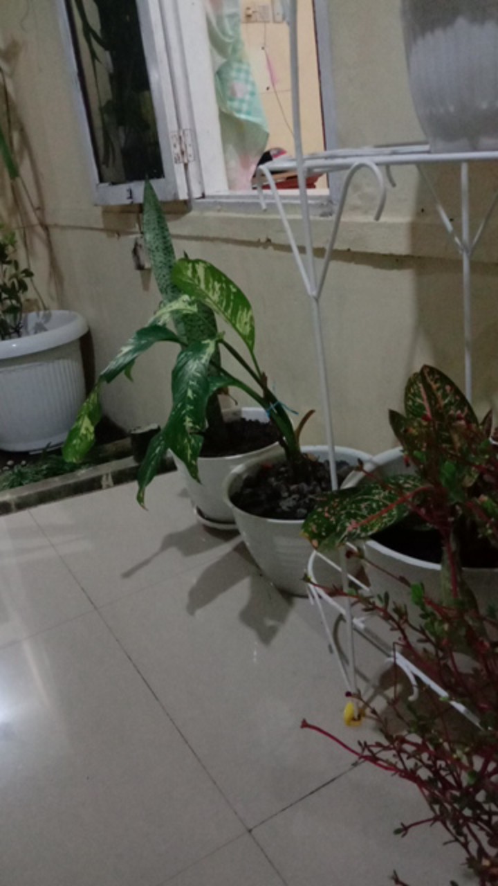 Website Online Shop (toko Online)