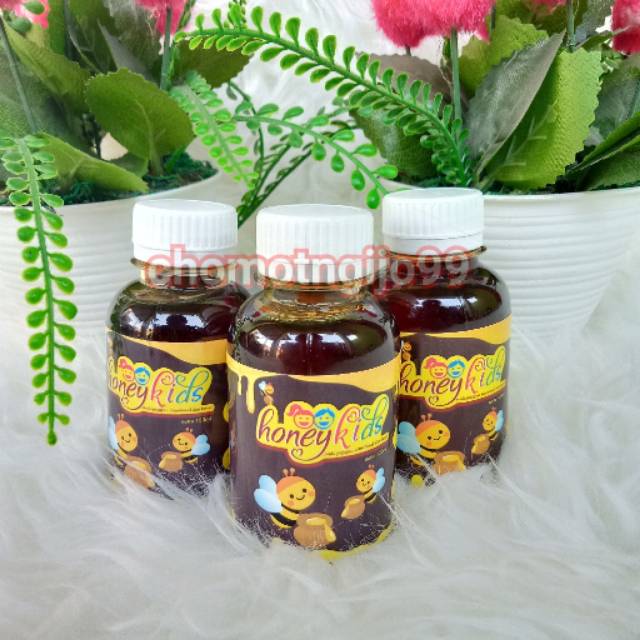 Paket 3 Botol Honeykids Madu Gemuk Badan Anak Premium 130 ml