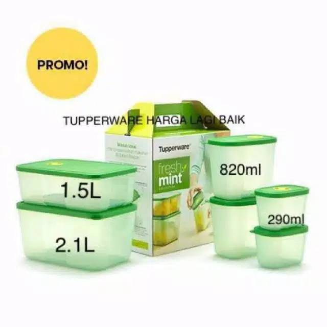 Fresh mint tupperware