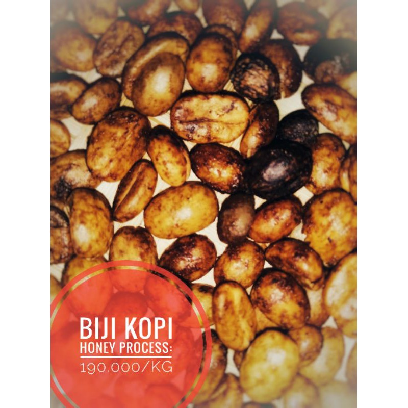 

Biji kopi Honey Process