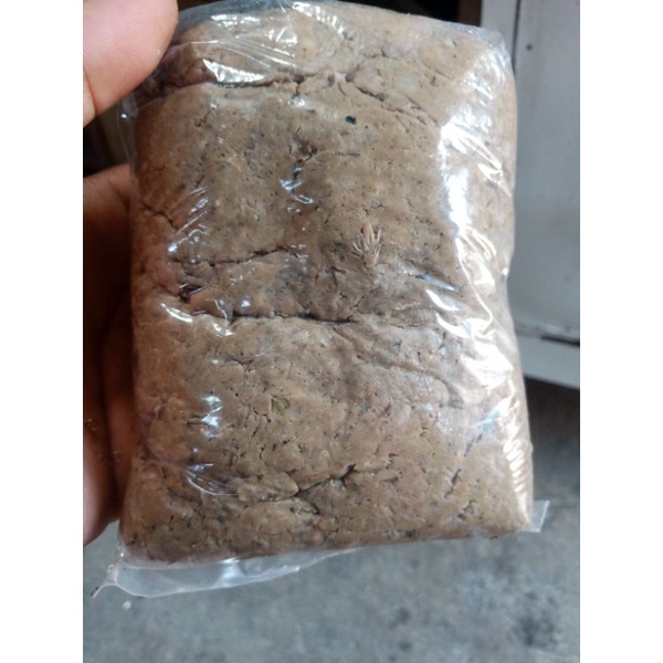 umpan daging puyuh Galatama lele