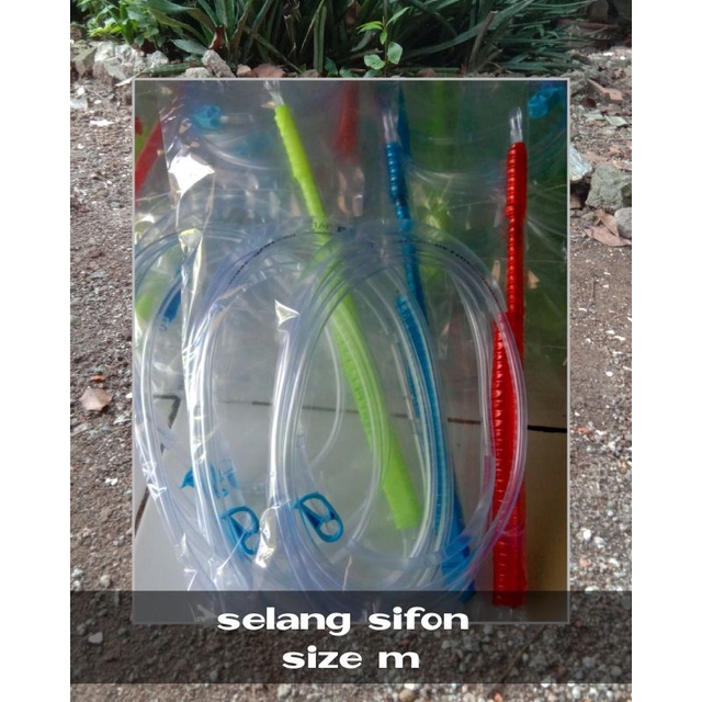 Sifon sipon Aquarium ikan cupang pembersih kotoran pada dasar aquarium solitare size m