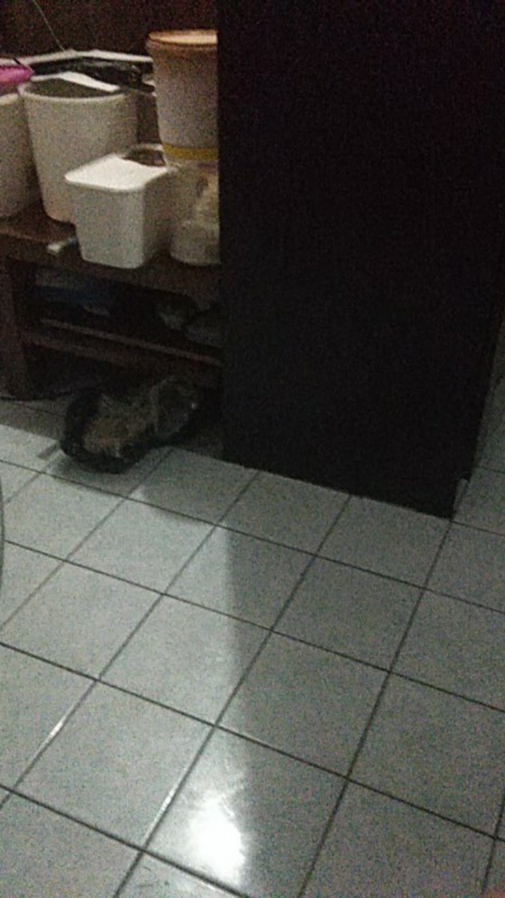 Couple Natal Rnb Sett Batik Pasangan Grosir Batik Sarimbit Murah Kebaya Pendek Prada Jarum