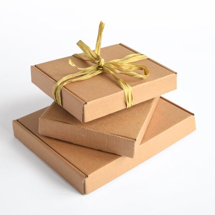 

Kardus Packing Besar Online Shop 20x15x5 & 24x20x5 cm Dus Packing Besar Box Packaging Jumbo Polos