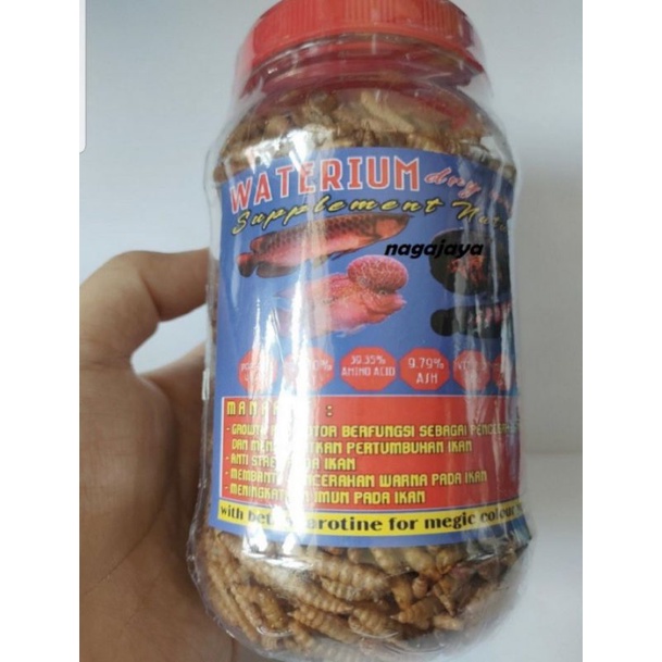 Maggot ulat kering WATERIUM pakan ikan predator magot premium
