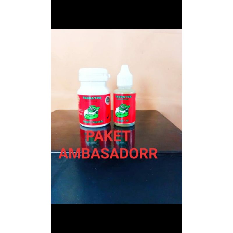 

paket ambasador