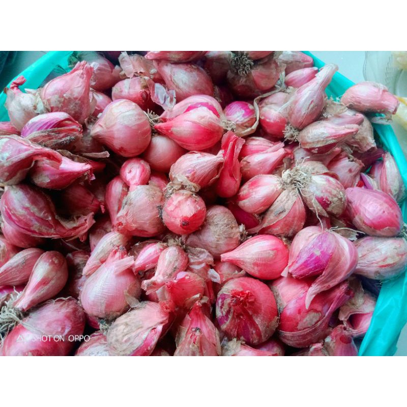 

Bawang Bali kintamani 1/2kg