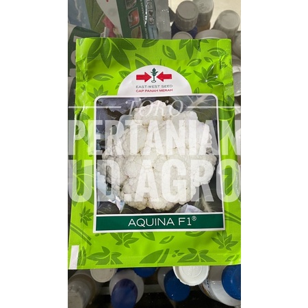 BIBIT BENIH KEMBANG KOL AQUINA F1 10 gr CAP PANAH MERAH