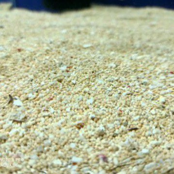 PASIR BALI 1KG PASIR AQUARIUM PASIR IKAN HIASAN DASAR AQUARIUM