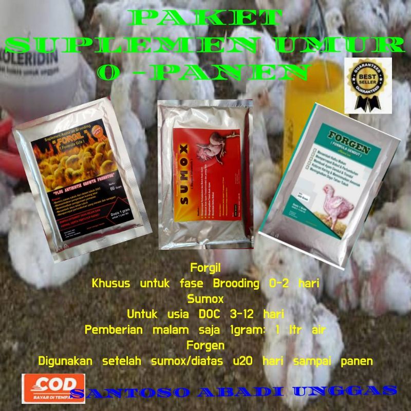 FORGIL SUMOX FORGEN Paket Suplemen lengkap satu periode