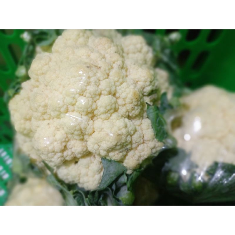 

Kembang kol segar