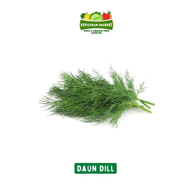 

Daun Dill Per Pack / Produk Langka