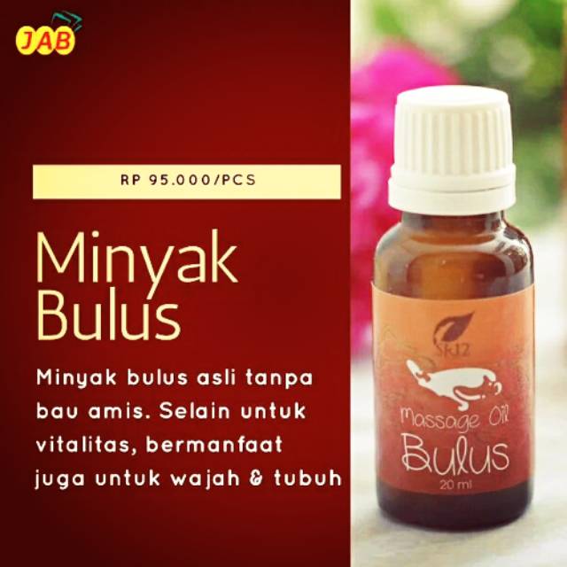 Jual Minyak Bulus Dahsyat Wajah Glowing Indonesia Shopee Indonesia