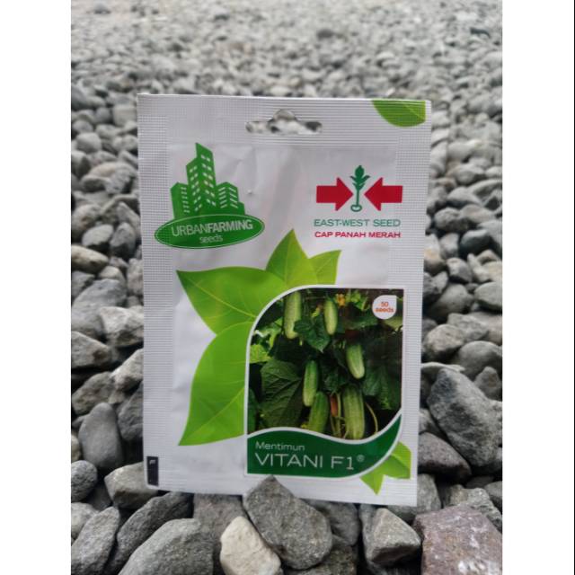 Benih Bibit Timun VITANI F1 (50btr)