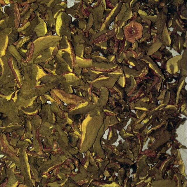 

Jamur pelawan(langka)