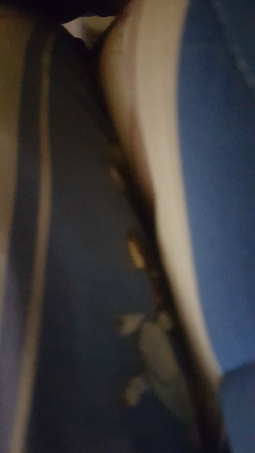 Perasan Jeruk Plastik Pakai Tutup