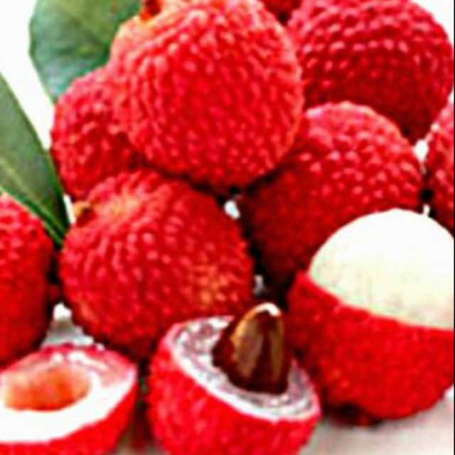 

Leci kom leci merah berbualitas bibit leci kom murah